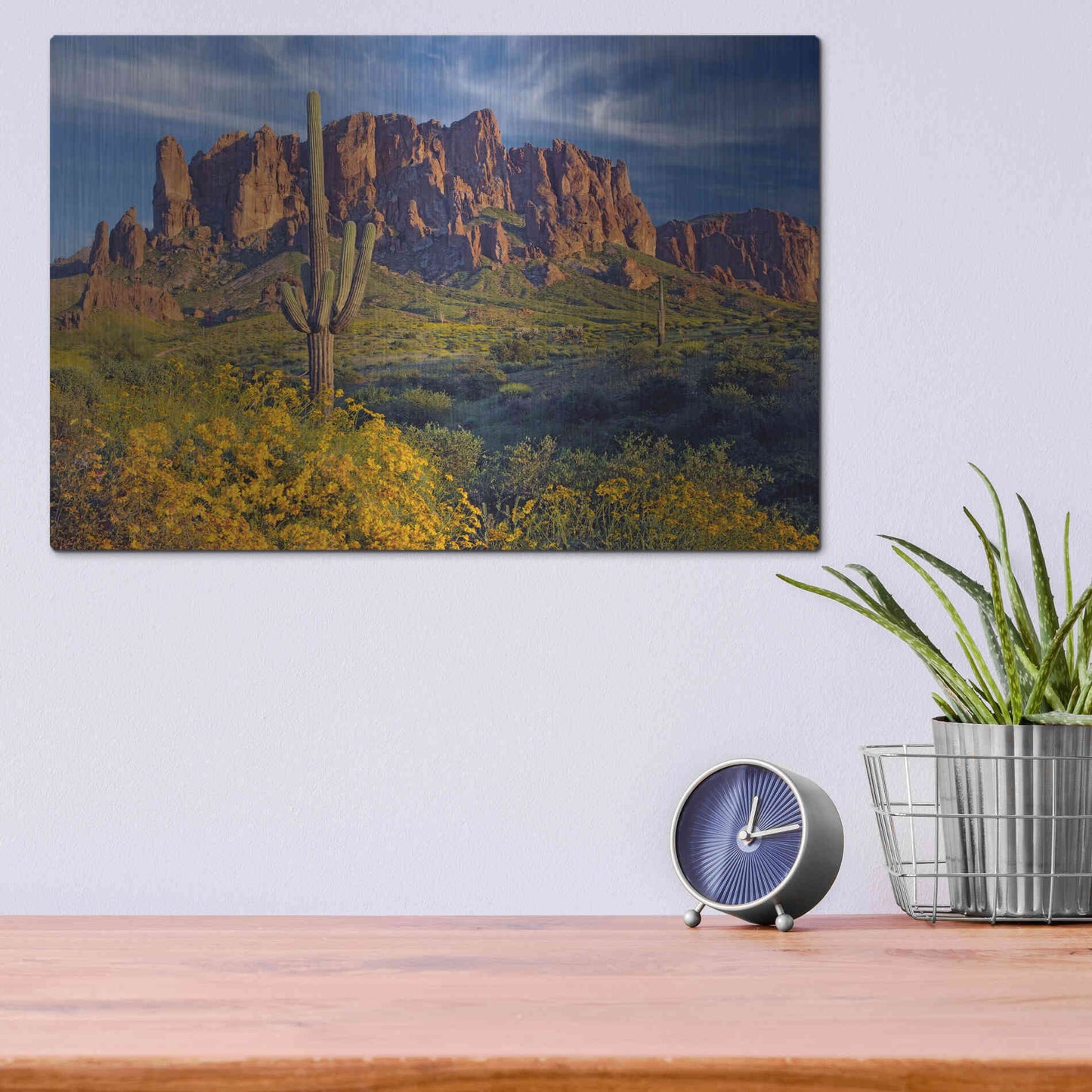 Luxe Metal Art 'Lost Dutchman flowers' by Mike Jones, Metal Wall Art,16x12