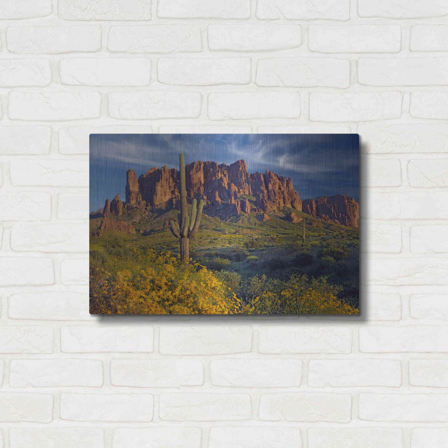 Luxe Metal Art 'Lost Dutchman flowers' by Mike Jones, Metal Wall Art,24x16