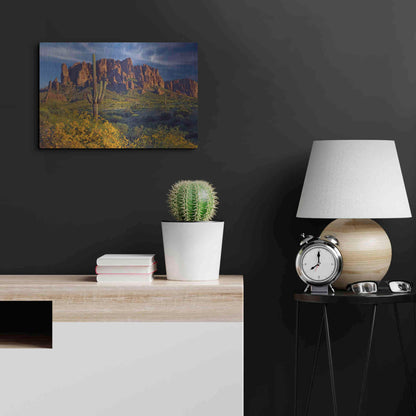 Luxe Metal Art 'Lost Dutchman flowers' by Mike Jones, Metal Wall Art,24x16