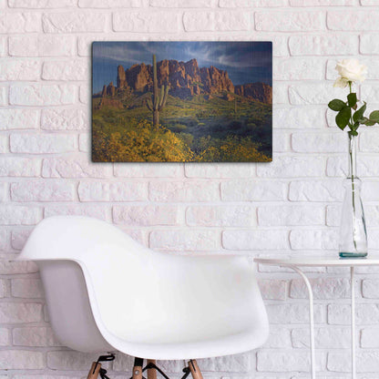 Luxe Metal Art 'Lost Dutchman flowers' by Mike Jones, Metal Wall Art,24x16