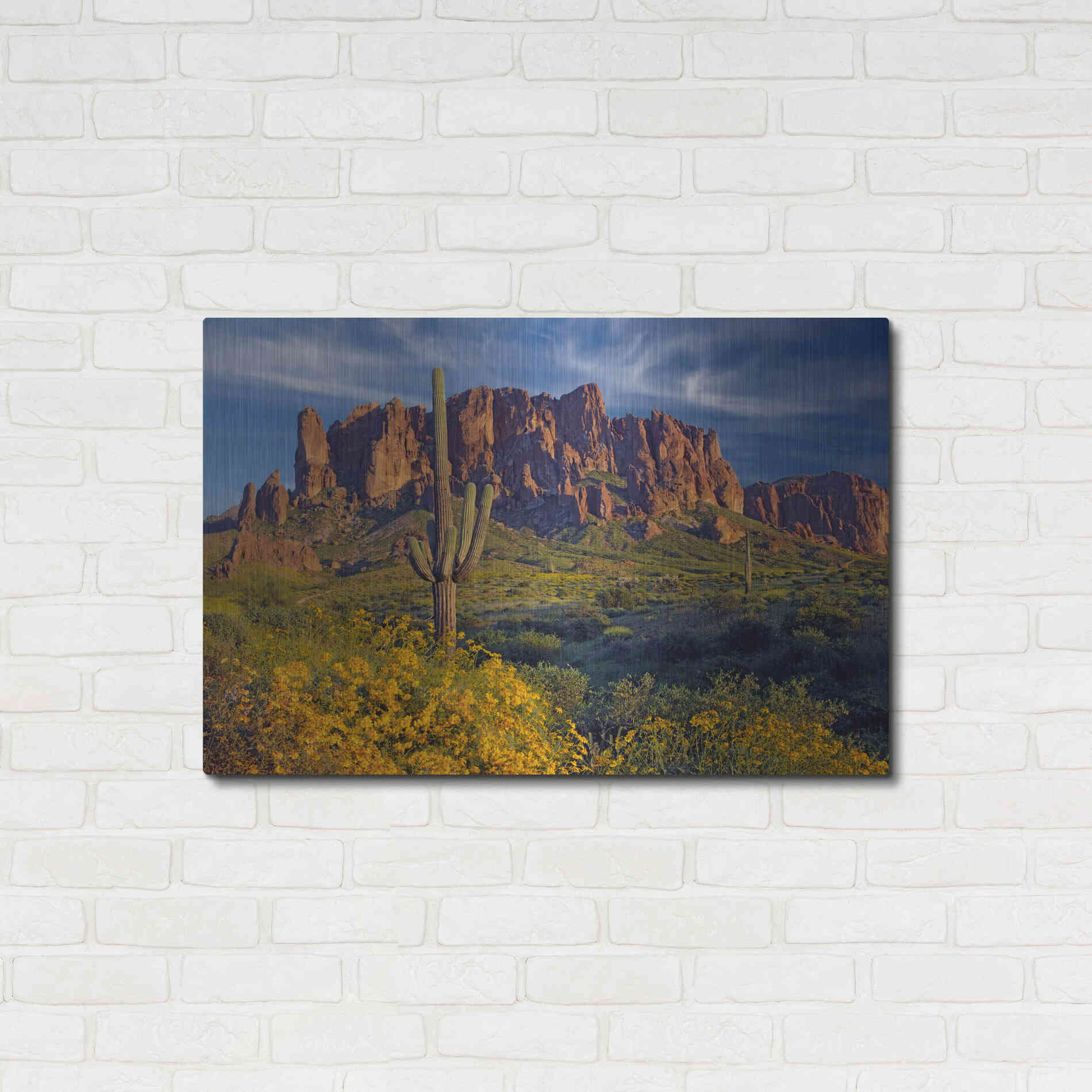 Luxe Metal Art 'Lost Dutchman flowers' by Mike Jones, Metal Wall Art,36x24