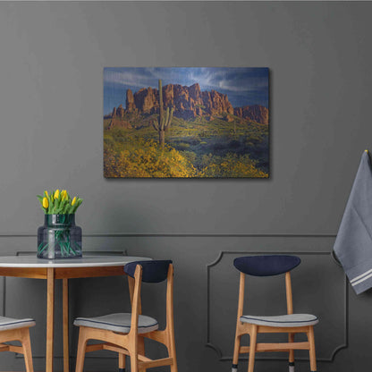 Luxe Metal Art 'Lost Dutchman flowers' by Mike Jones, Metal Wall Art,36x24