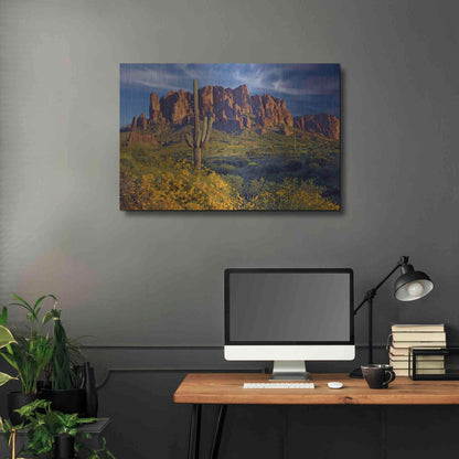 Luxe Metal Art 'Lost Dutchman flowers' by Mike Jones, Metal Wall Art,36x24