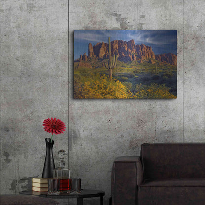 Luxe Metal Art 'Lost Dutchman flowers' by Mike Jones, Metal Wall Art,36x24