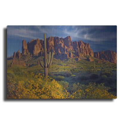 Luxe Metal Art 'Lost Dutchman flowers' by Mike Jones, Metal Wall Art