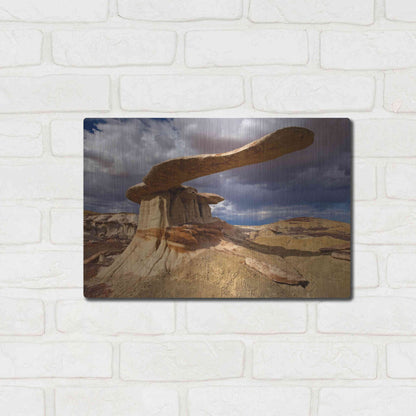Luxe Metal Art 'NM Ahshislepah King Of Wings' by Mike Jones, Metal Wall Art,16x12