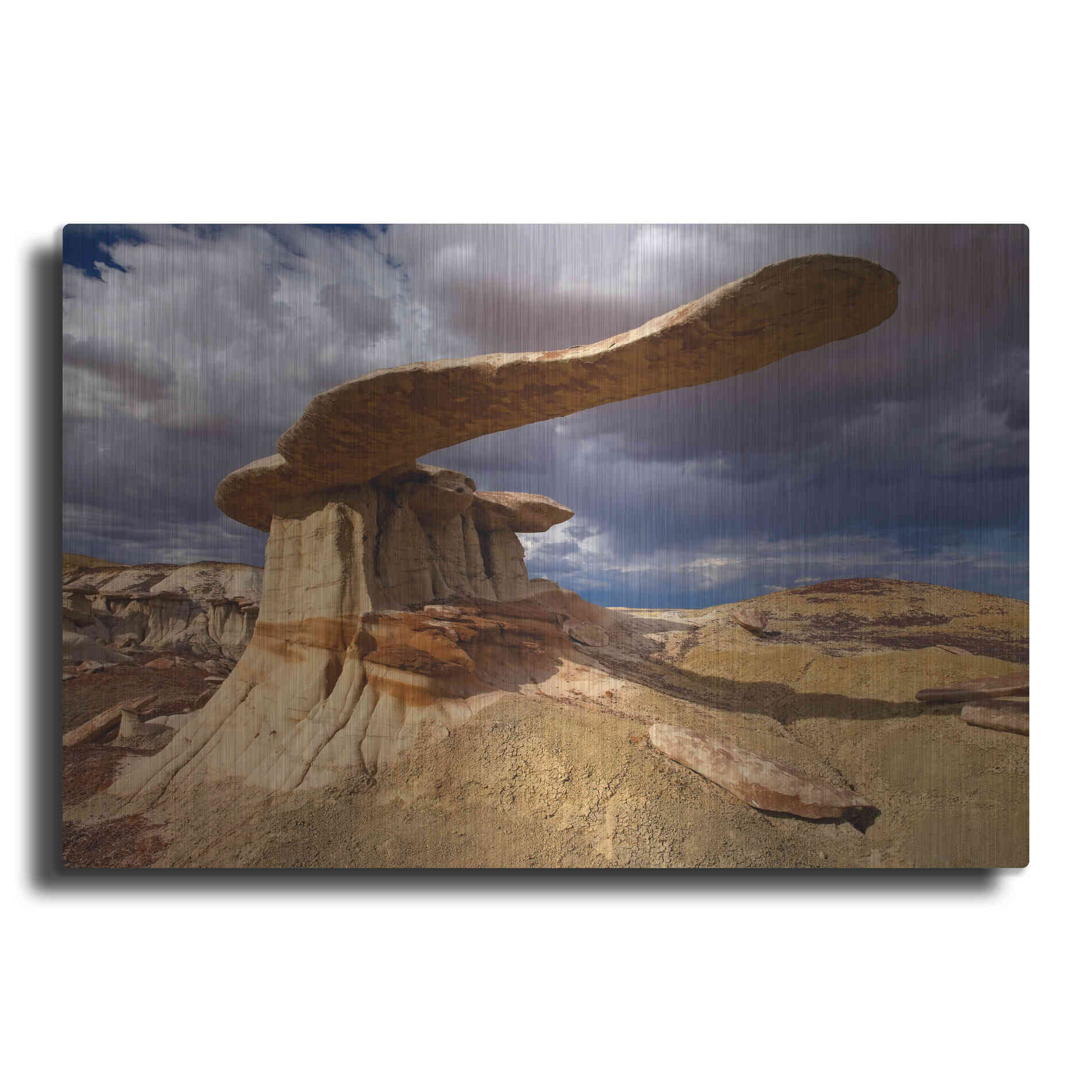 Luxe Metal Art 'NM Ahshislepah King Of Wings' by Mike Jones, Metal Wall Art