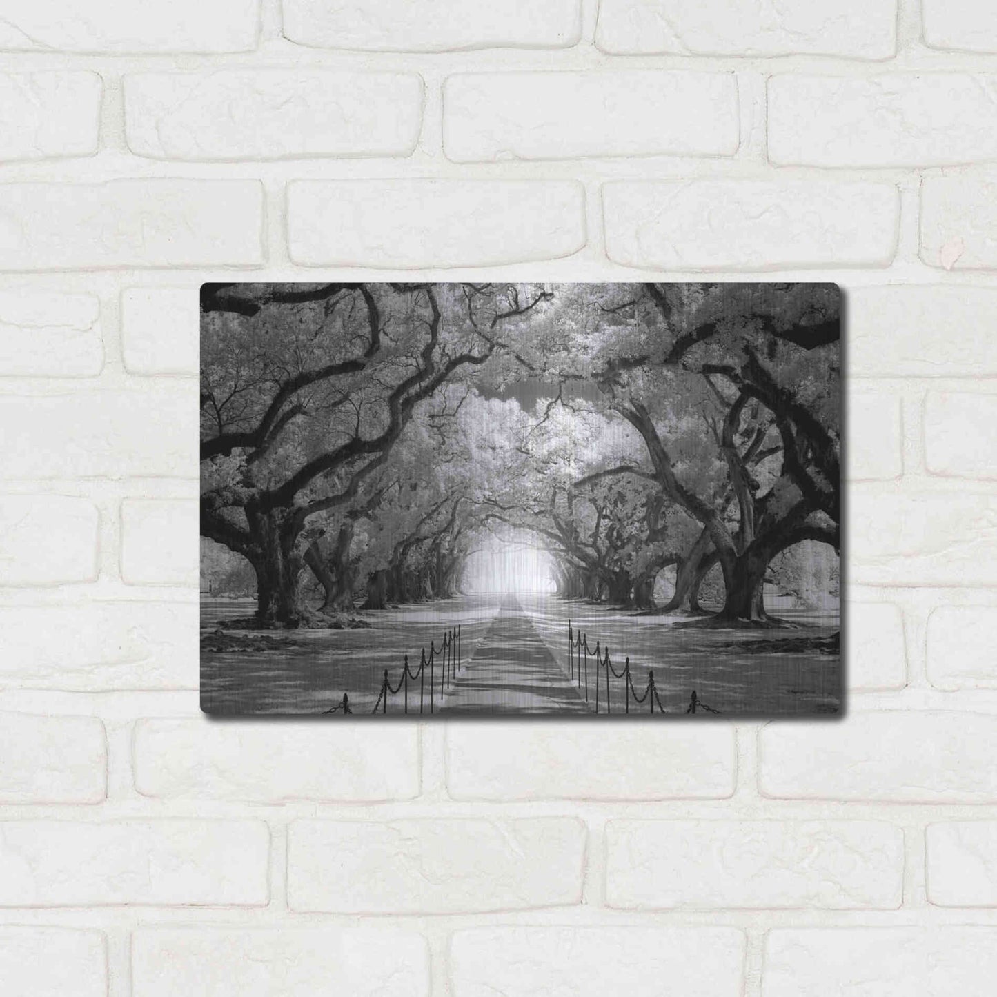 Luxe Metal Art 'Oak Alley inf CHECK' by Mike Jones, Metal Wall Art,16x12