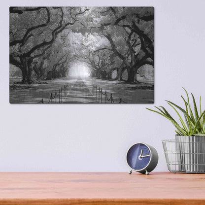 Luxe Metal Art 'Oak Alley inf CHECK' by Mike Jones, Metal Wall Art,16x12