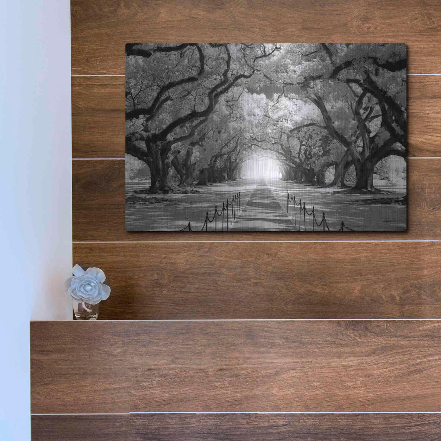 Luxe Metal Art 'Oak Alley inf CHECK' by Mike Jones, Metal Wall Art,16x12