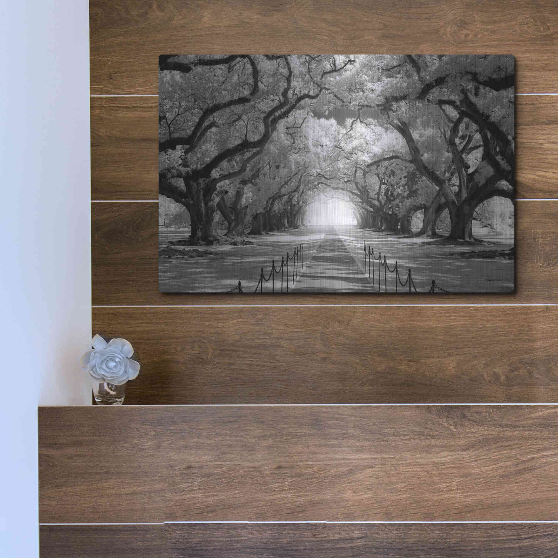 Luxe Metal Art 'Oak Alley inf CHECK' by Mike Jones, Metal Wall Art,16x12