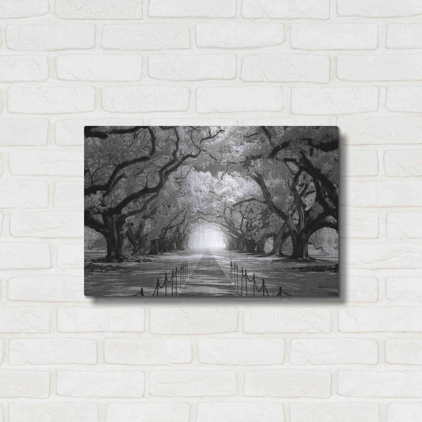 Luxe Metal Art 'Oak Alley inf CHECK' by Mike Jones, Metal Wall Art,24x16