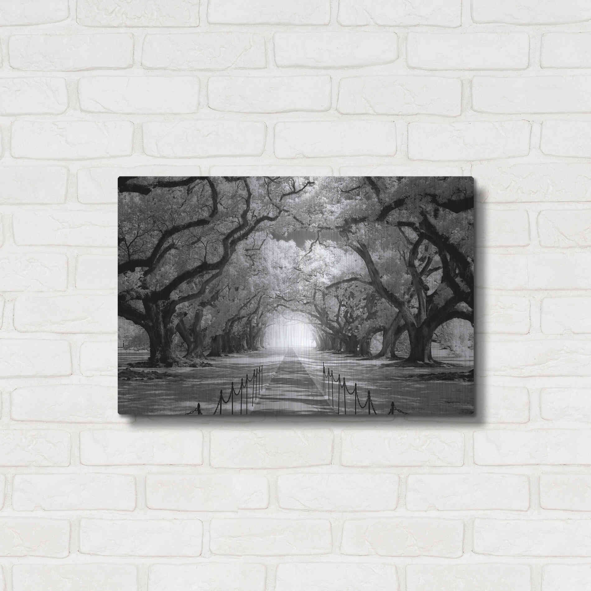 Luxe Metal Art 'Oak Alley inf CHECK' by Mike Jones, Metal Wall Art,24x16