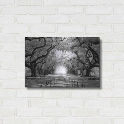 Luxe Metal Art 'Oak Alley inf CHECK' by Mike Jones, Metal Wall Art,24x16