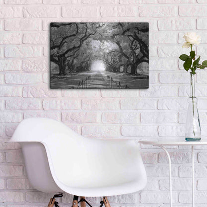 Luxe Metal Art 'Oak Alley inf CHECK' by Mike Jones, Metal Wall Art,24x16