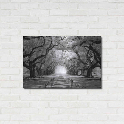 Luxe Metal Art 'Oak Alley inf CHECK' by Mike Jones, Metal Wall Art,36x24