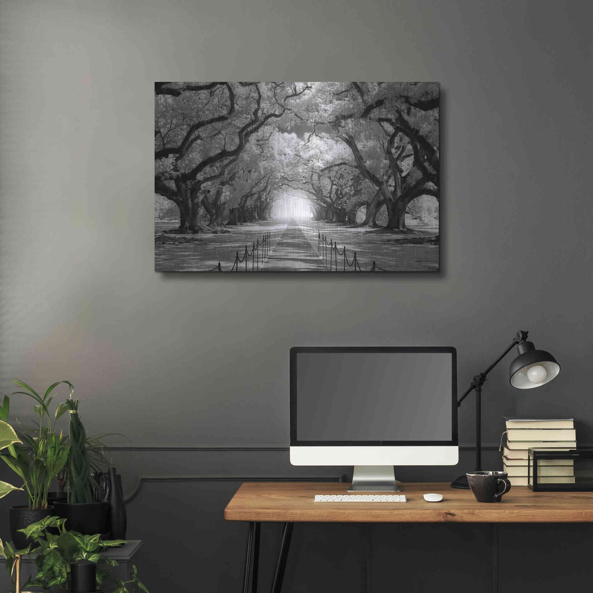 Luxe Metal Art 'Oak Alley inf CHECK' by Mike Jones, Metal Wall Art,36x24
