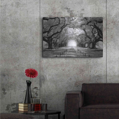 Luxe Metal Art 'Oak Alley inf CHECK' by Mike Jones, Metal Wall Art,36x24