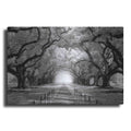 Luxe Metal Art 'Oak Alley inf CHECK' by Mike Jones, Metal Wall Art