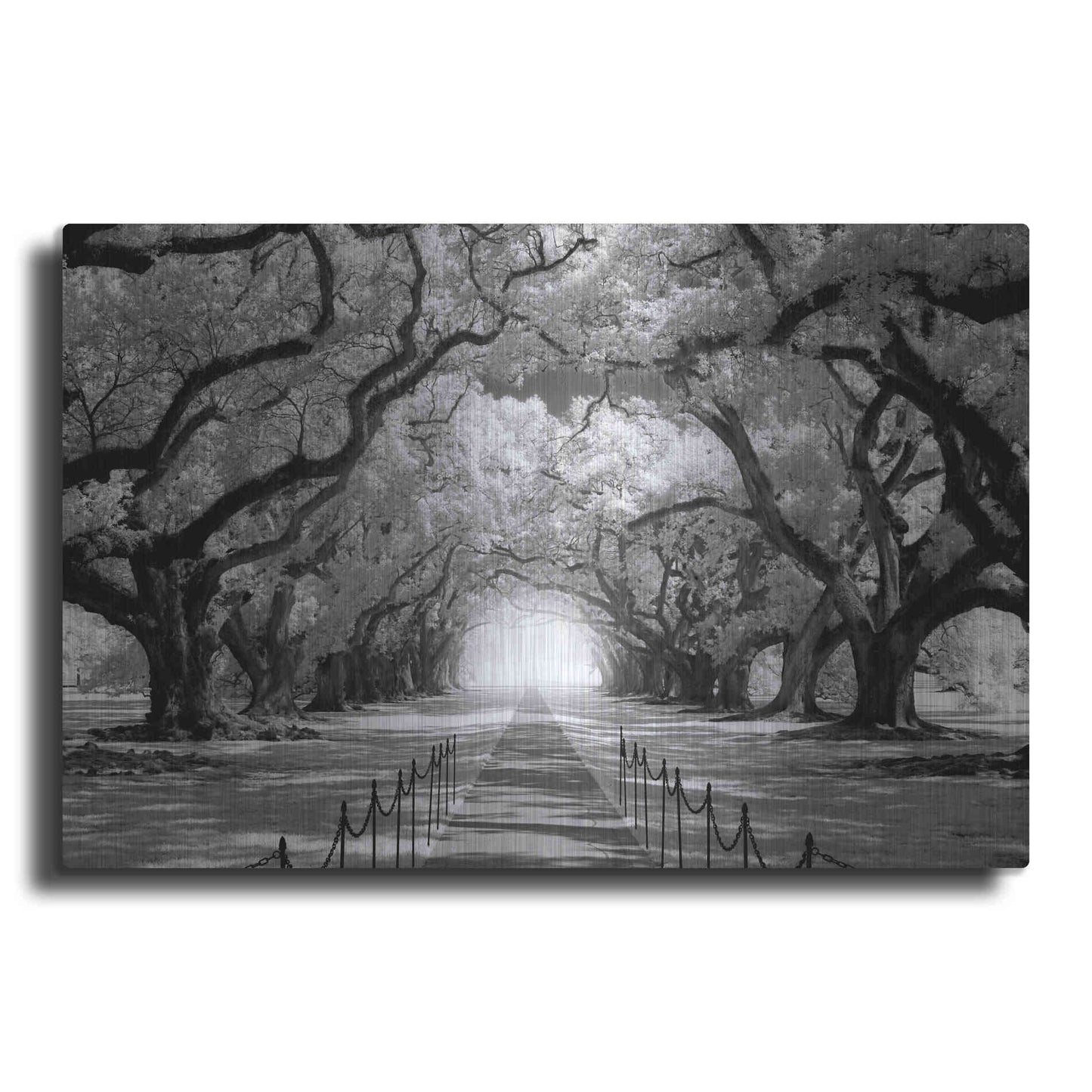 Luxe Metal Art 'Oak Alley inf CHECK' by Mike Jones, Metal Wall Art