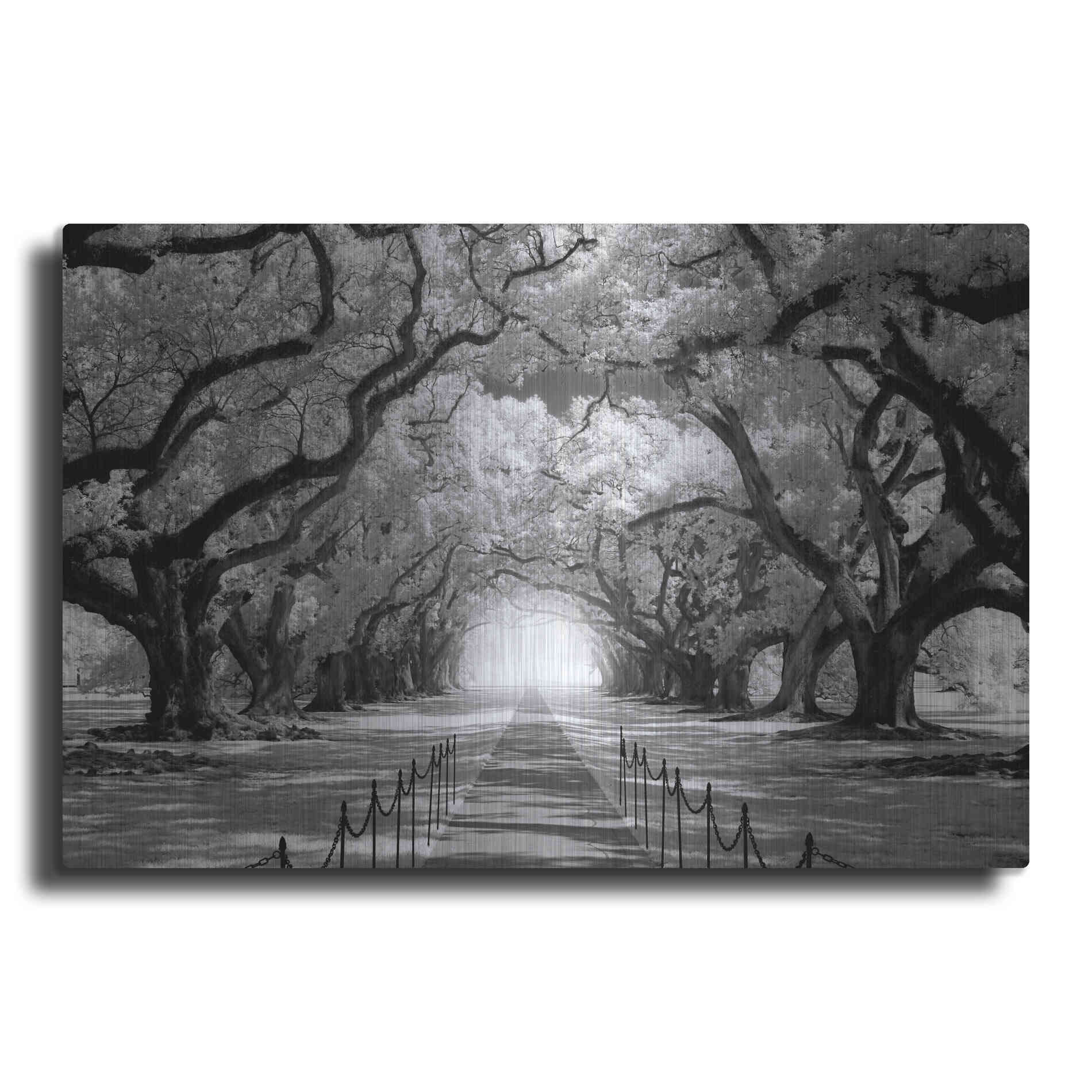 Luxe Metal Art 'Oak Alley inf CHECK' by Mike Jones, Metal Wall Art