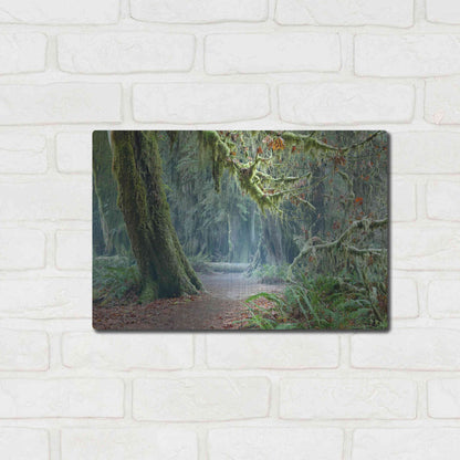 Luxe Metal Art 'Olympic NP Trail' by Mike Jones, Metal Wall Art,16x12