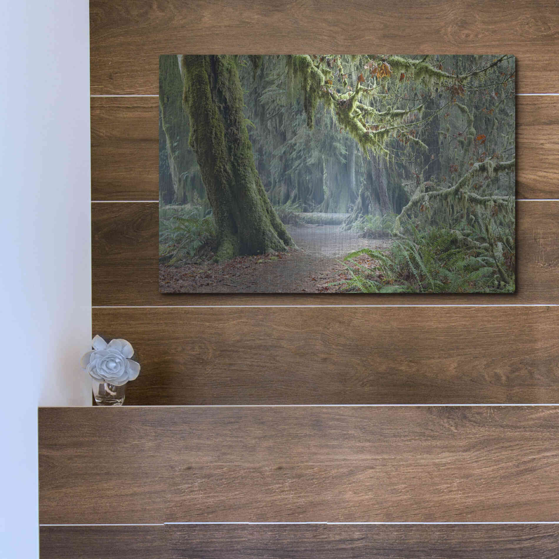 Luxe Metal Art 'Olympic NP Trail' by Mike Jones, Metal Wall Art,16x12