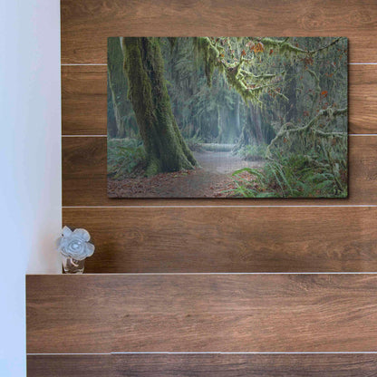 Luxe Metal Art 'Olympic NP Trail' by Mike Jones, Metal Wall Art,16x12