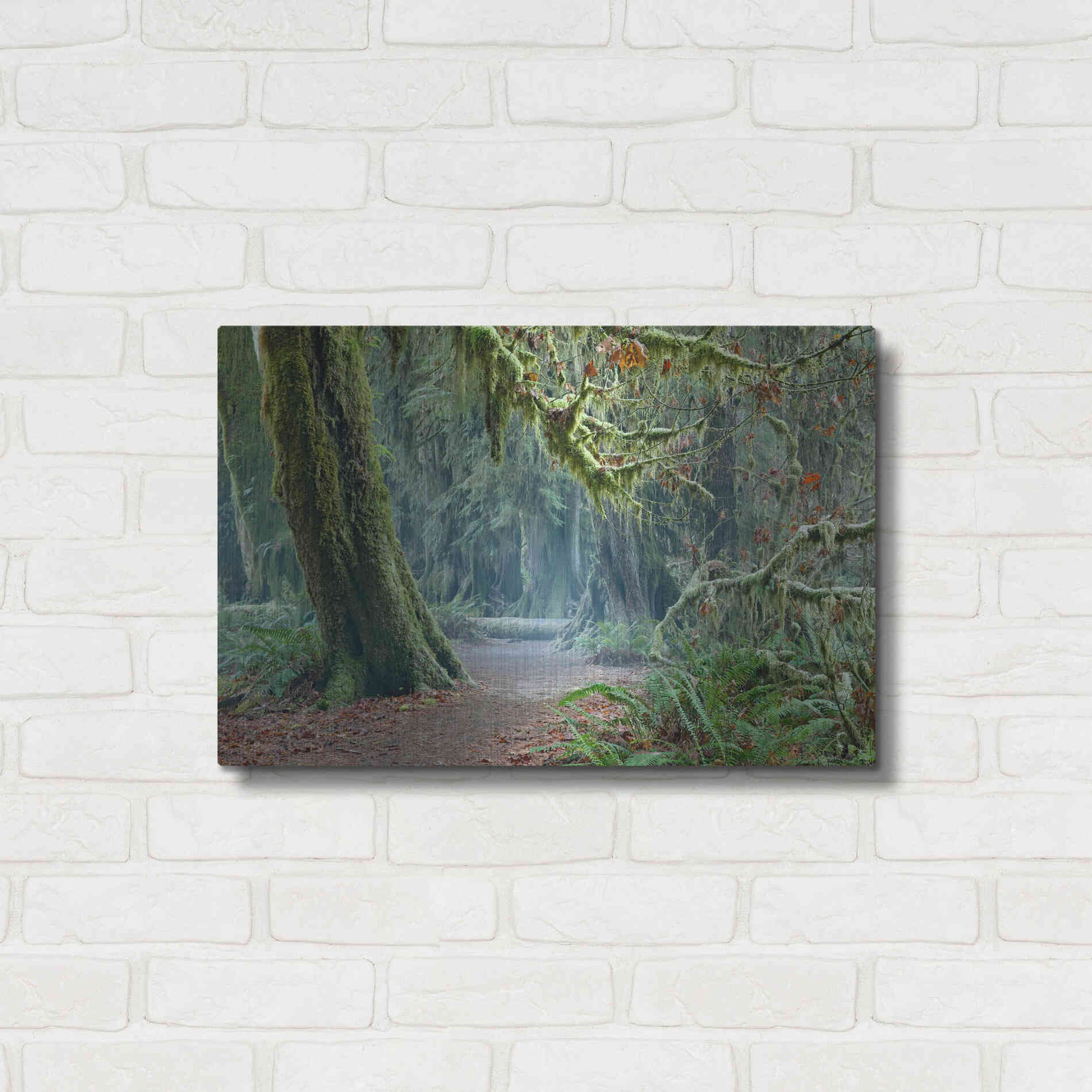 Luxe Metal Art 'Olympic NP Trail' by Mike Jones, Metal Wall Art,24x16