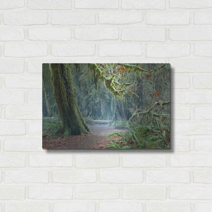 Luxe Metal Art 'Olympic NP Trail' by Mike Jones, Metal Wall Art,24x16