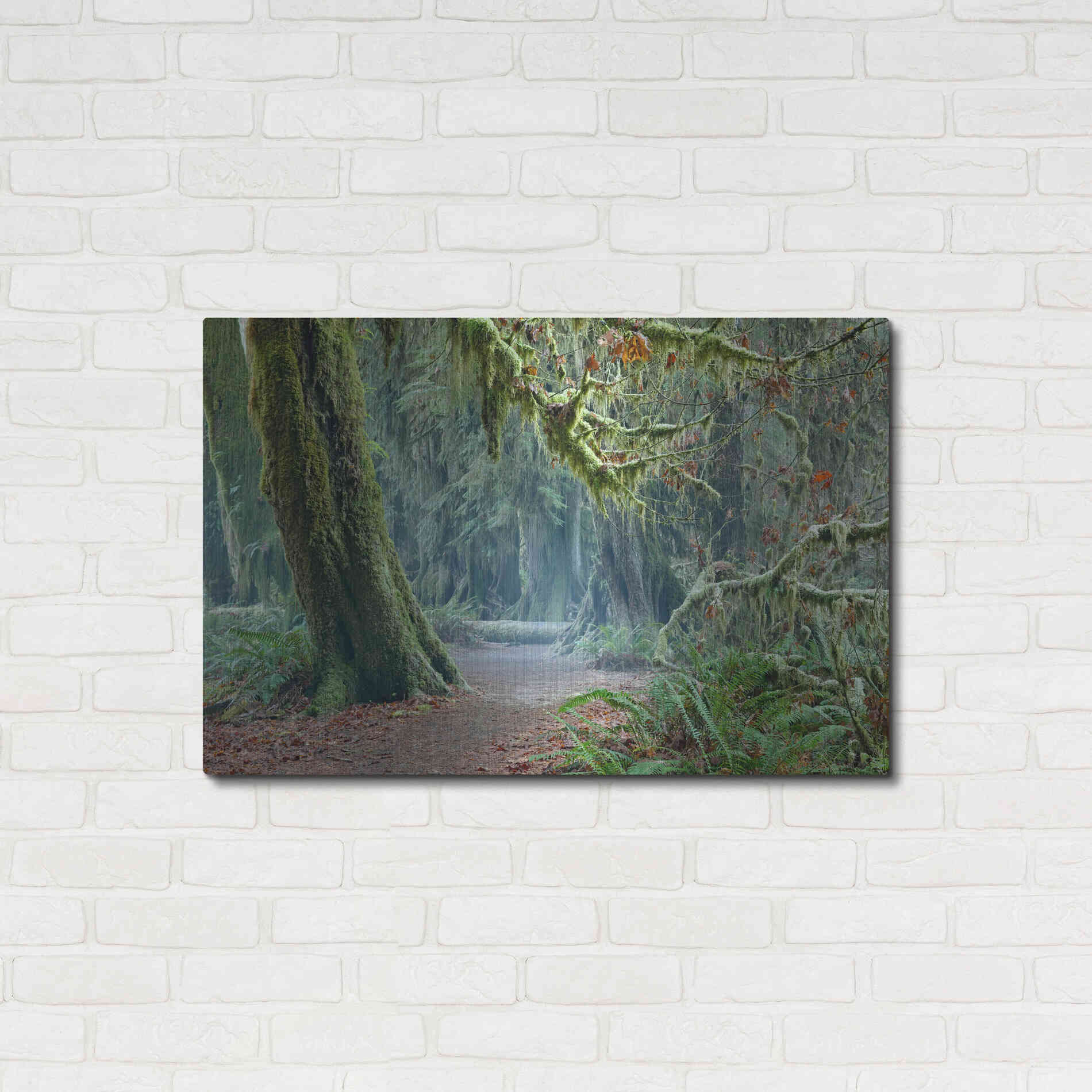 Luxe Metal Art 'Olympic NP Trail' by Mike Jones, Metal Wall Art,36x24