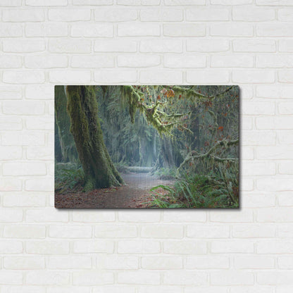 Luxe Metal Art 'Olympic NP Trail' by Mike Jones, Metal Wall Art,36x24