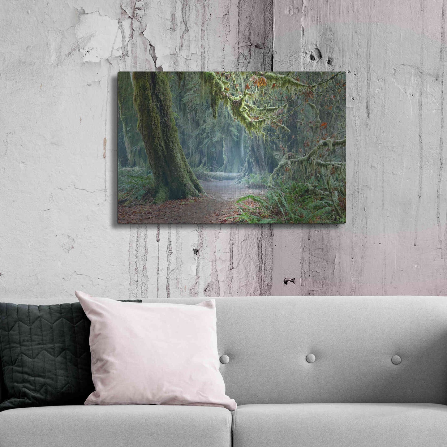 Luxe Metal Art 'Olympic NP Trail' by Mike Jones, Metal Wall Art,36x24