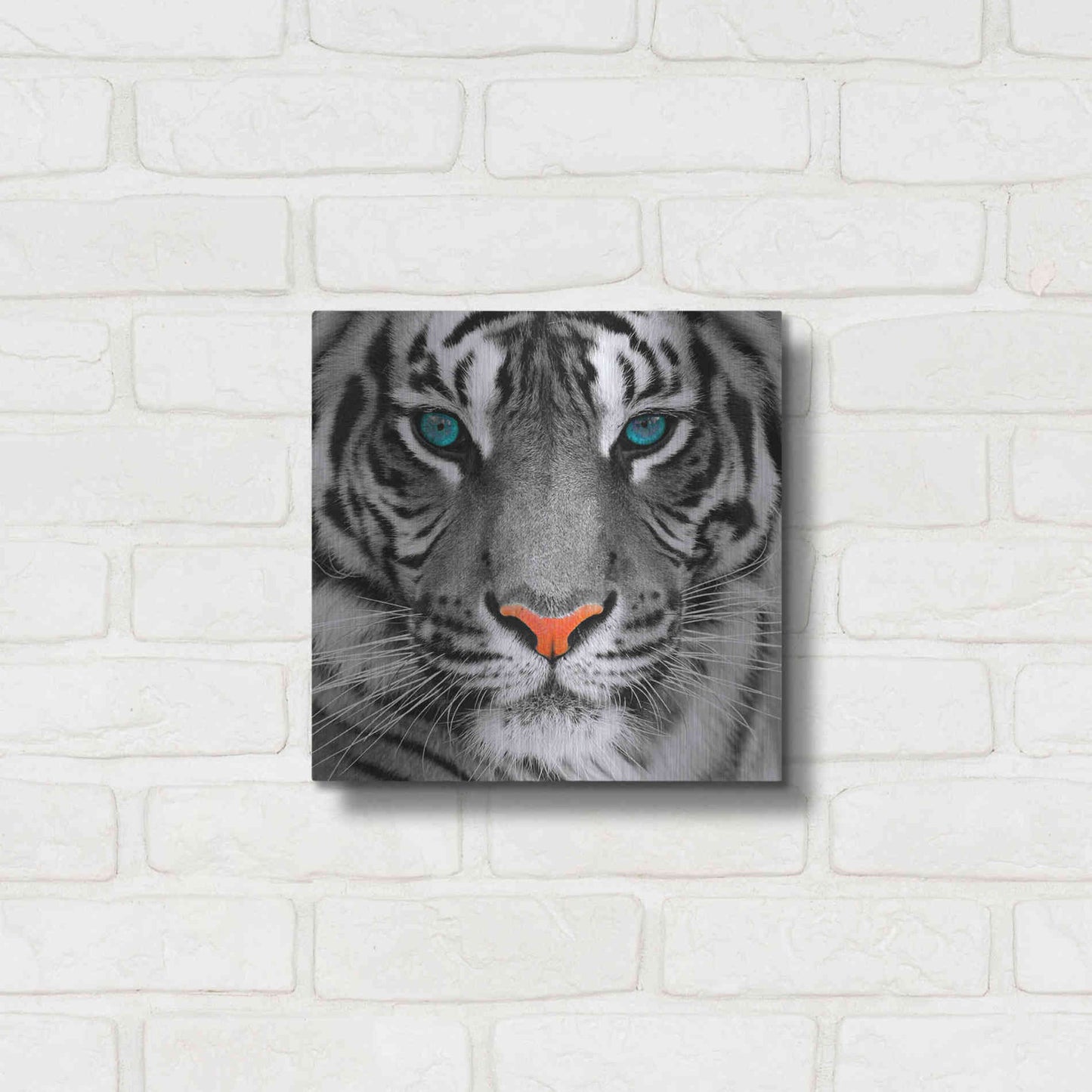 Luxe Metal Art 'Thrill of the Tiger' Metal Wall Art,12x12