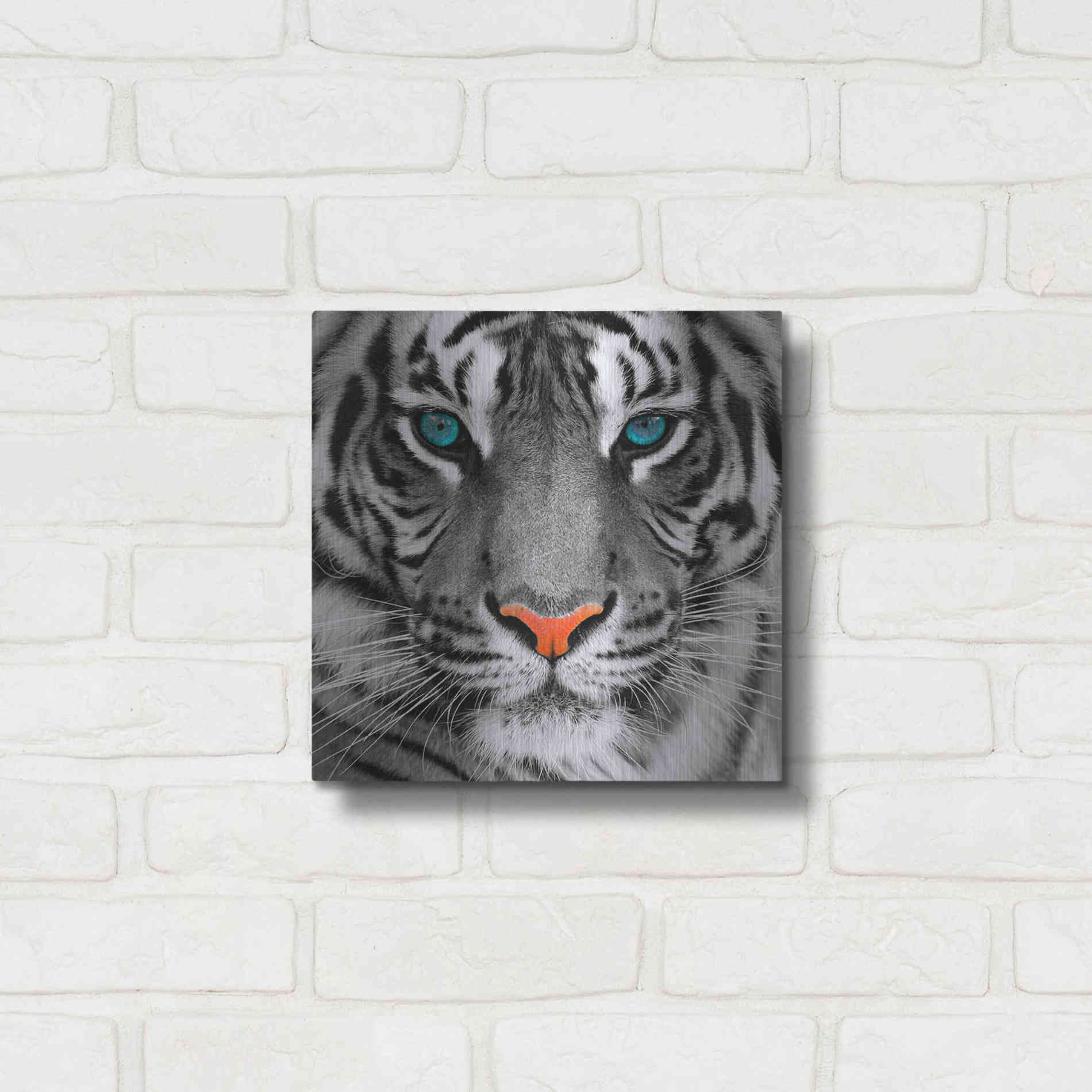 Luxe Metal Art 'Thrill of the Tiger' Metal Wall Art,12x12