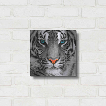 Luxe Metal Art 'Thrill of the Tiger' Metal Wall Art,12x12