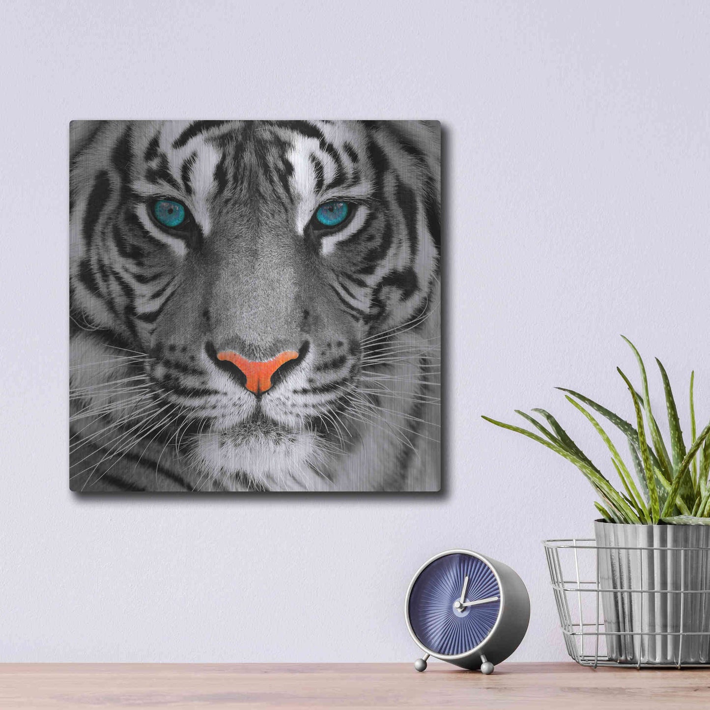 Luxe Metal Art 'Thrill of the Tiger' Metal Wall Art,12x12