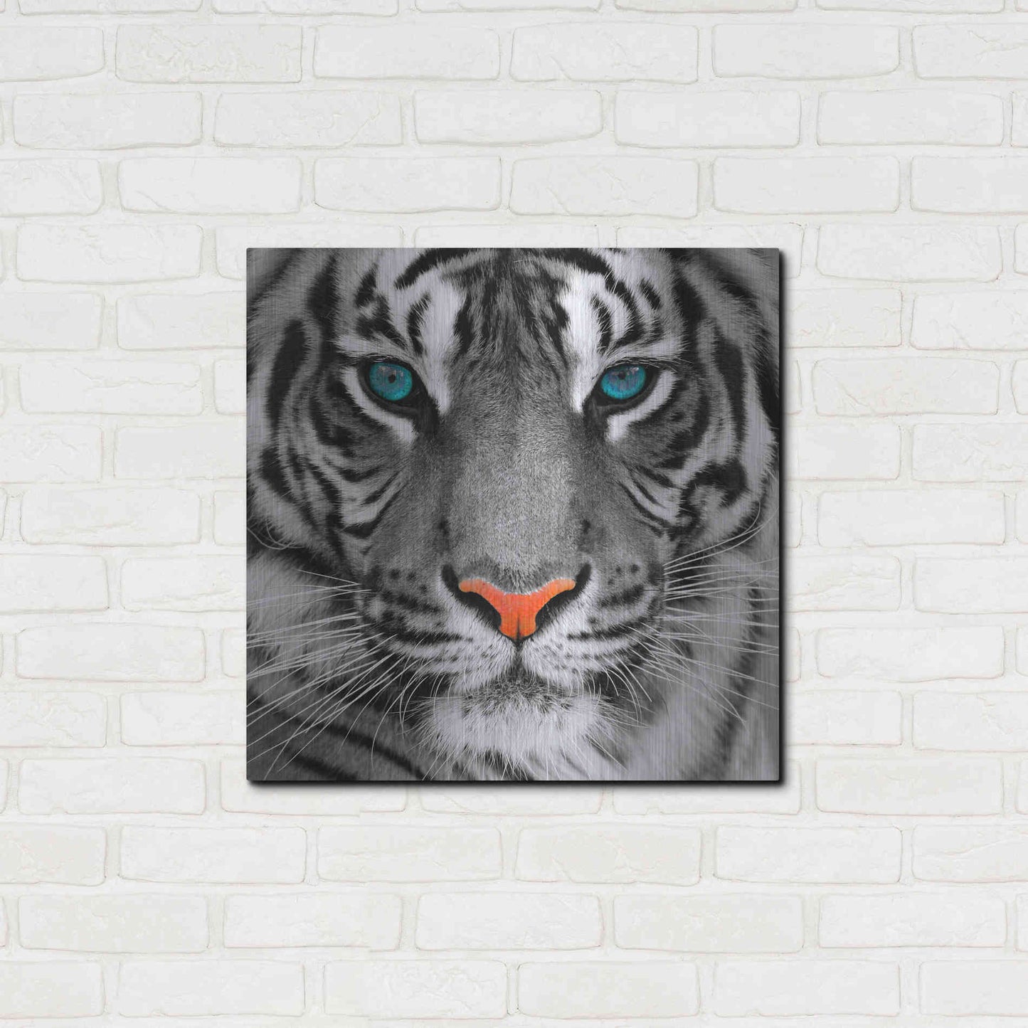 Luxe Metal Art 'Thrill of the Tiger' Metal Wall Art,24x24