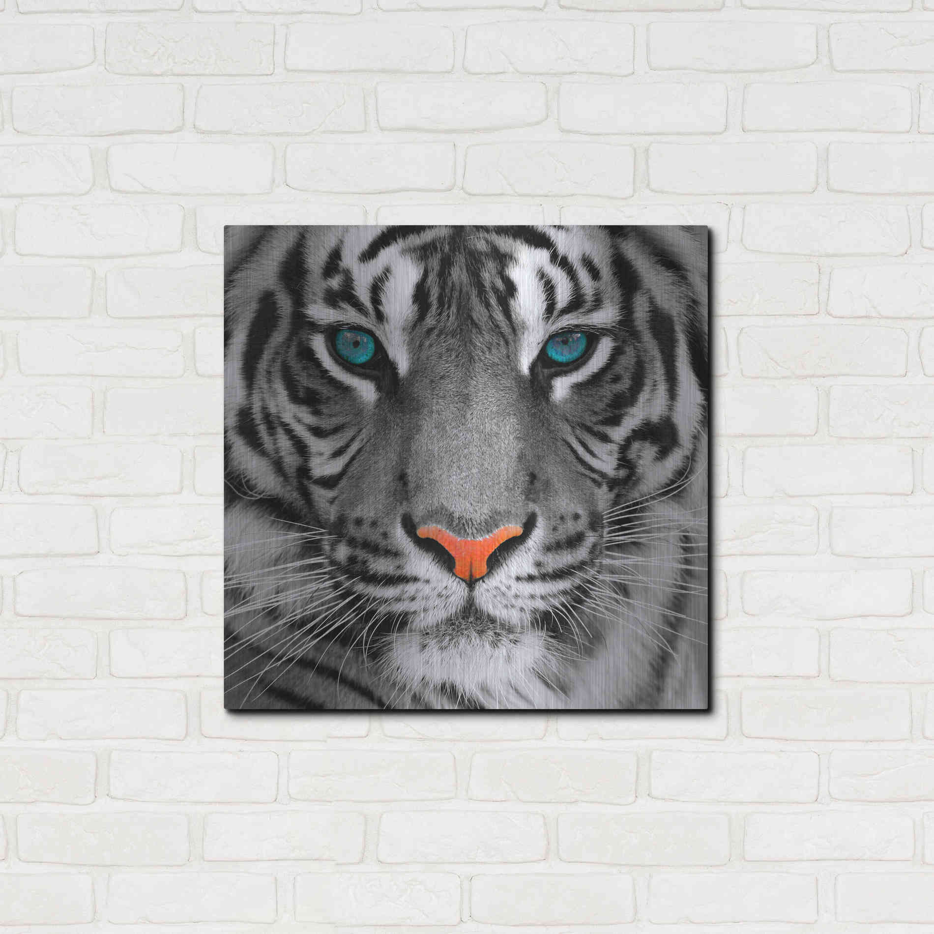 Luxe Metal Art 'Thrill of the Tiger' Metal Wall Art,24x24