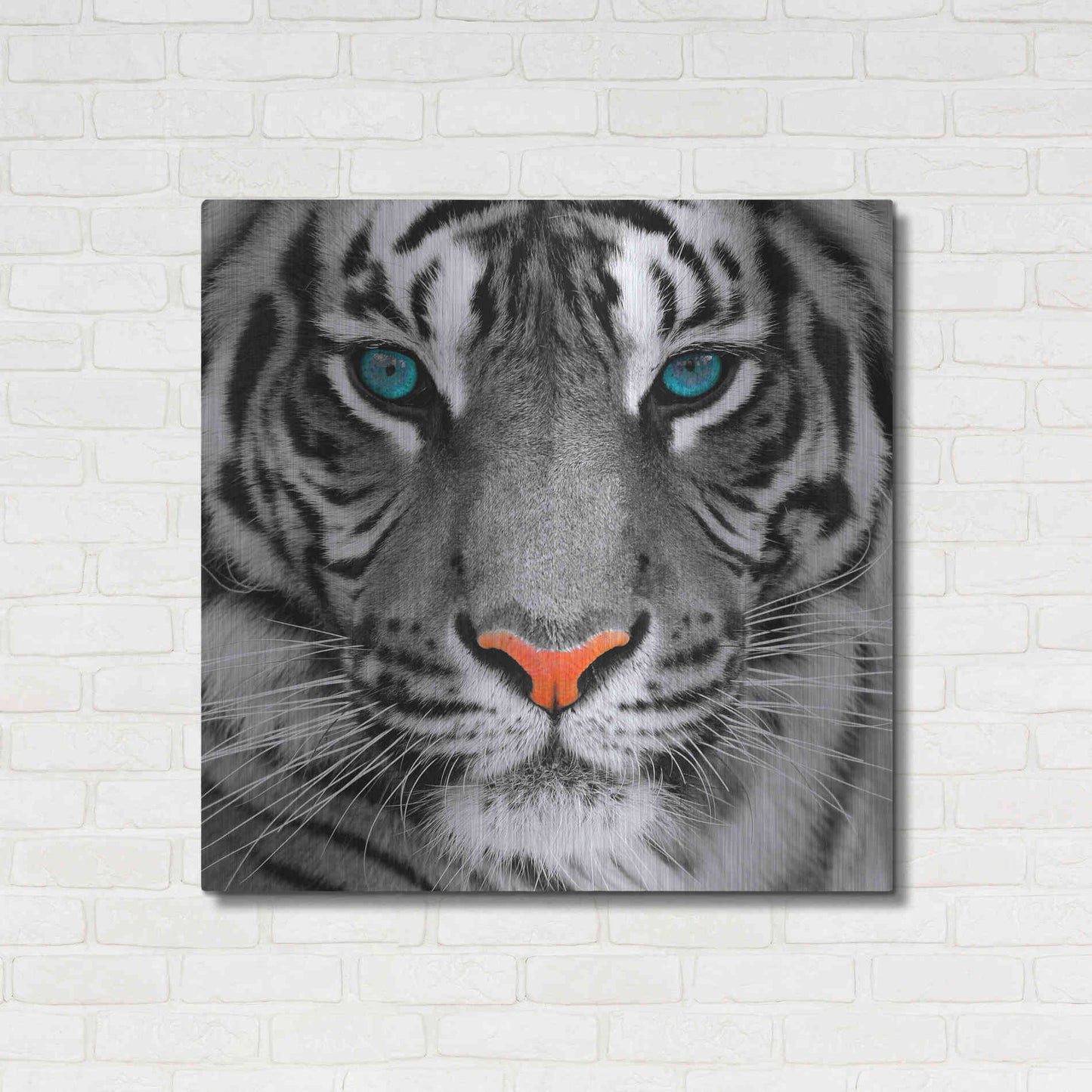 Luxe Metal Art 'Thrill of the Tiger' Metal Wall Art,36x36