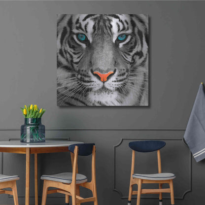 Luxe Metal Art 'Thrill of the Tiger' Metal Wall Art,36x36
