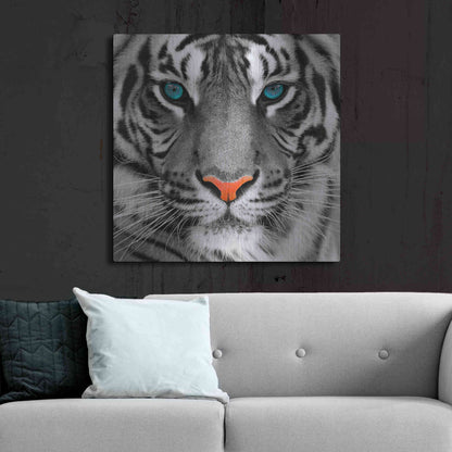 Luxe Metal Art 'Thrill of the Tiger' Metal Wall Art,36x36