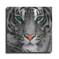 Luxe Metal Art 'Thrill of the Tiger' Metal Wall Art