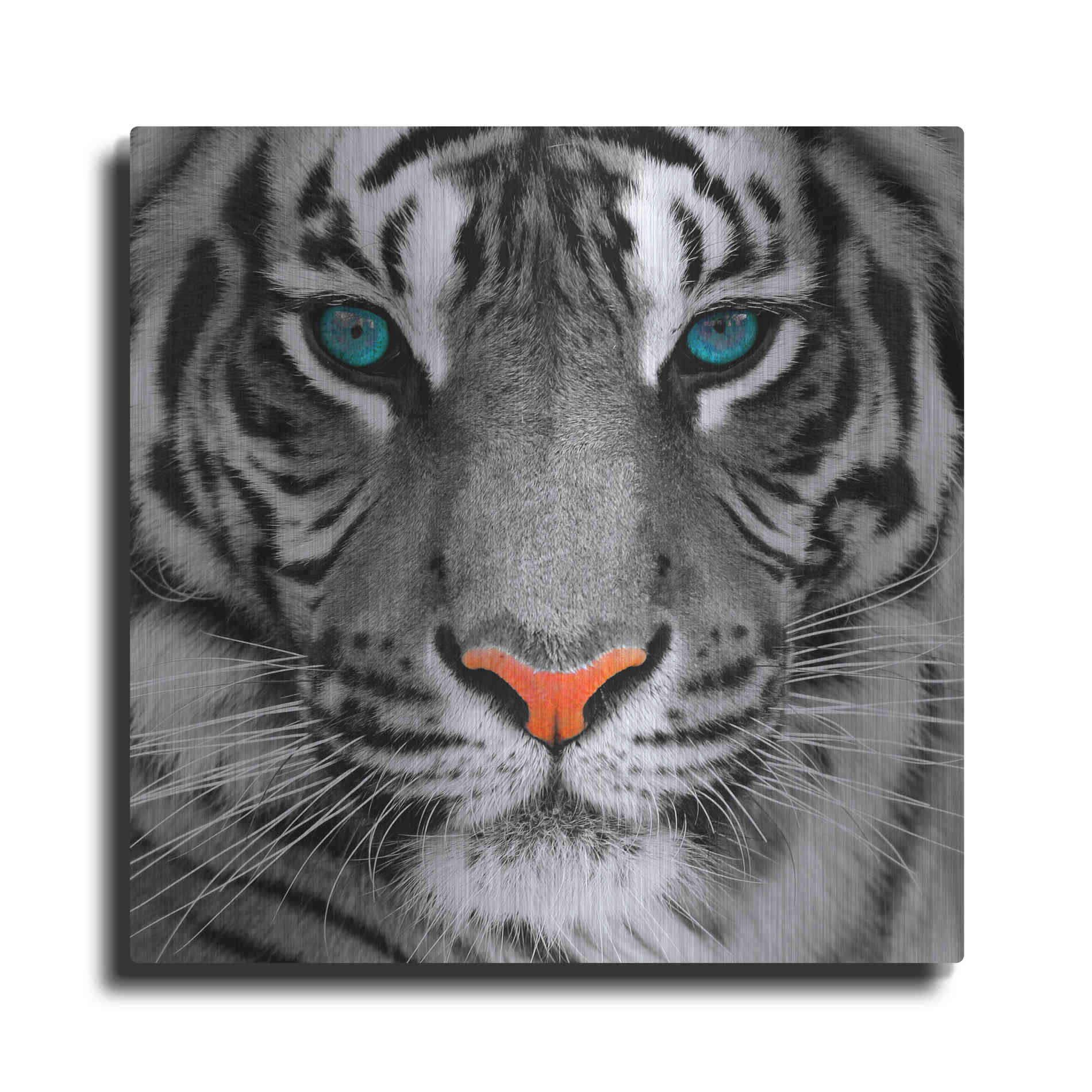 Luxe Metal Art 'Thrill of the Tiger' Metal Wall Art