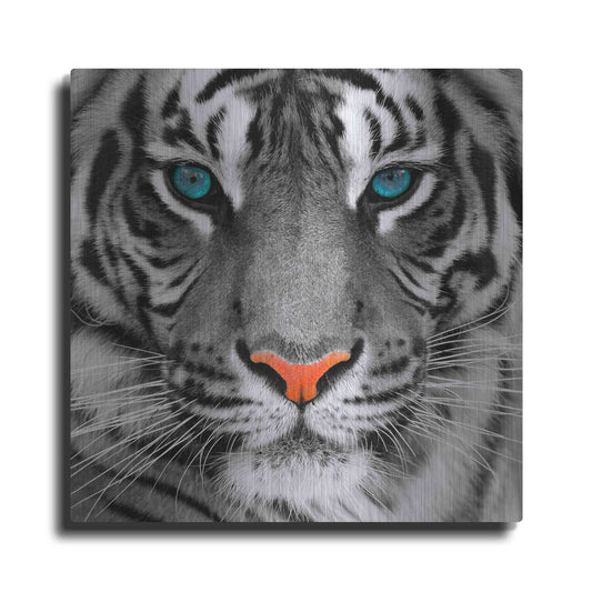 Luxe Metal Art 'Thrill of the Tiger' Metal Wall Art