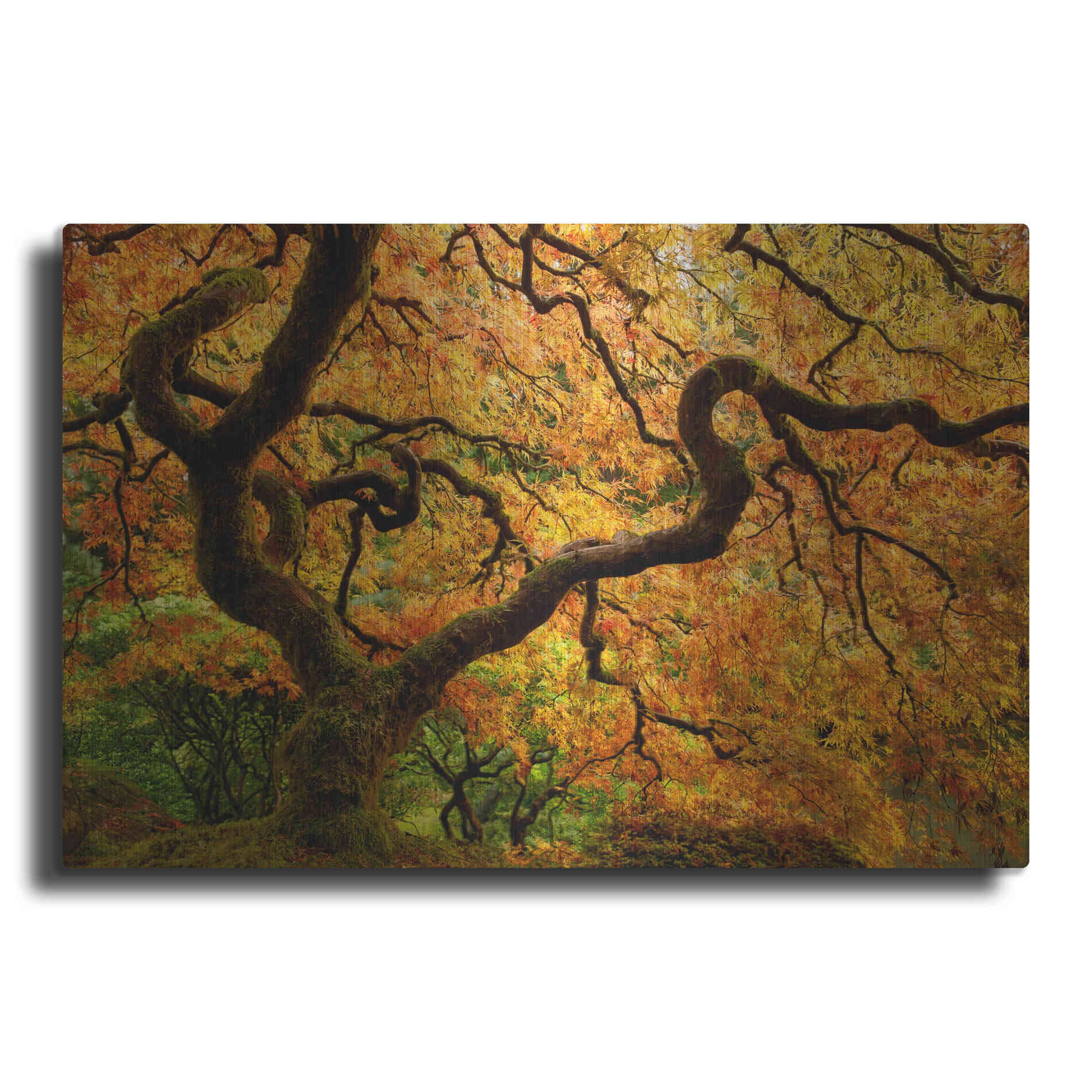 Luxe Metal Art 'Portland Japanese Garden' by Mike Jones, Metal Wall Art