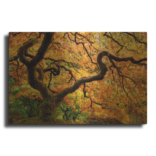 Luxe Metal Art 'Portland Japanese Garden' by Mike Jones, Metal Wall Art