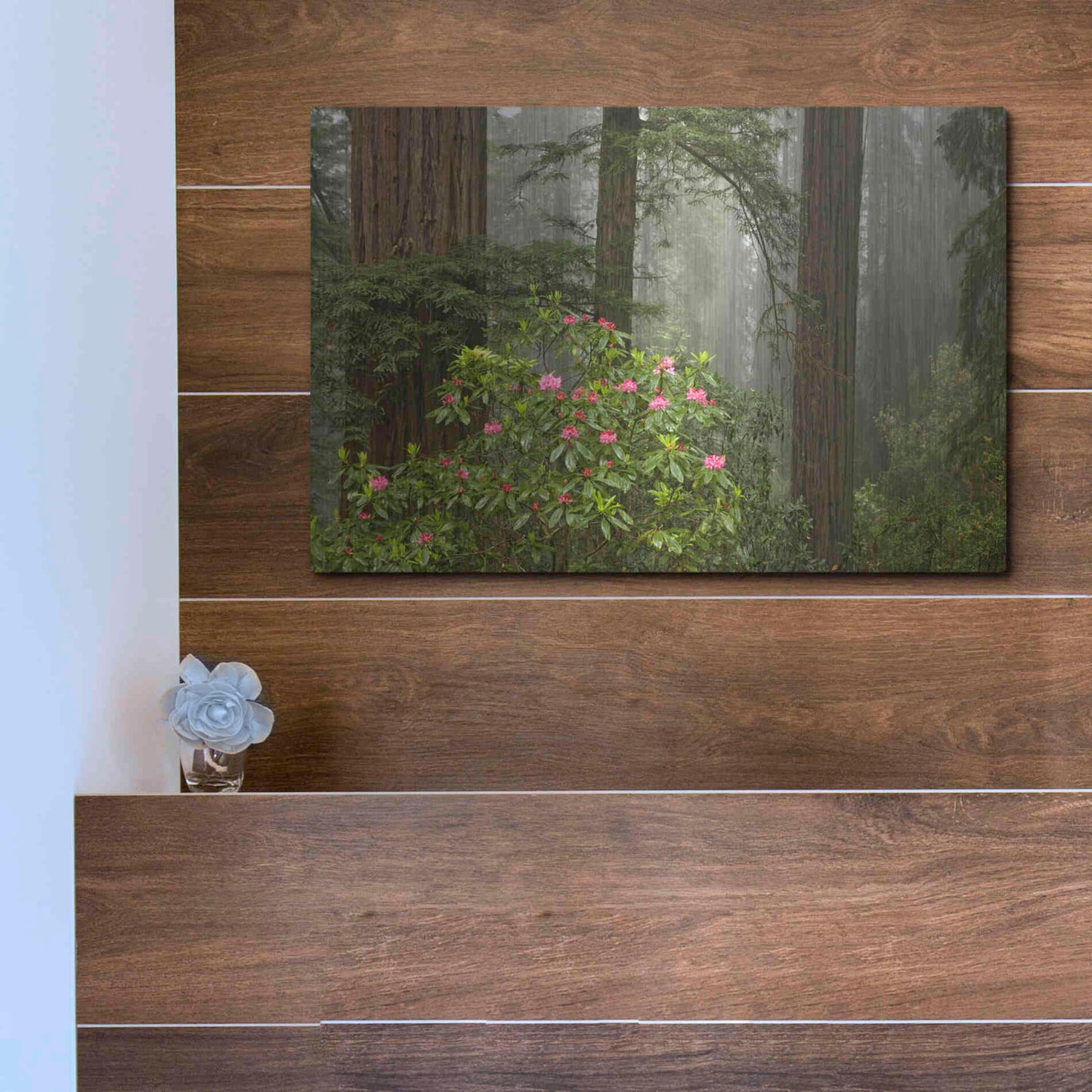 Luxe Metal Art 'Redwood Fog Rhododendrons' by Mike Jones, Metal Wall Art,16x12