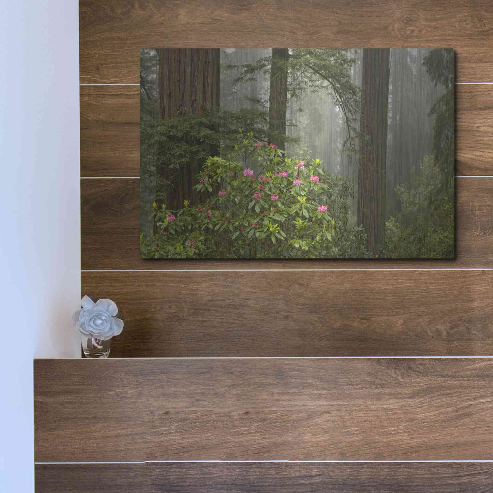 Luxe Metal Art 'Redwood Fog Rhododendrons' by Mike Jones, Metal Wall Art,16x12