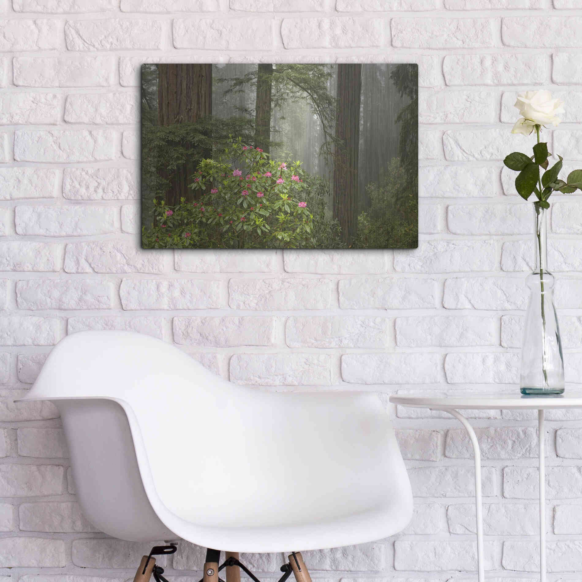 Luxe Metal Art 'Redwood Fog Rhododendrons' by Mike Jones, Metal Wall Art,24x16